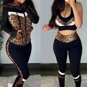 Crop top & High Waist Pant with Hoodie Coat Set